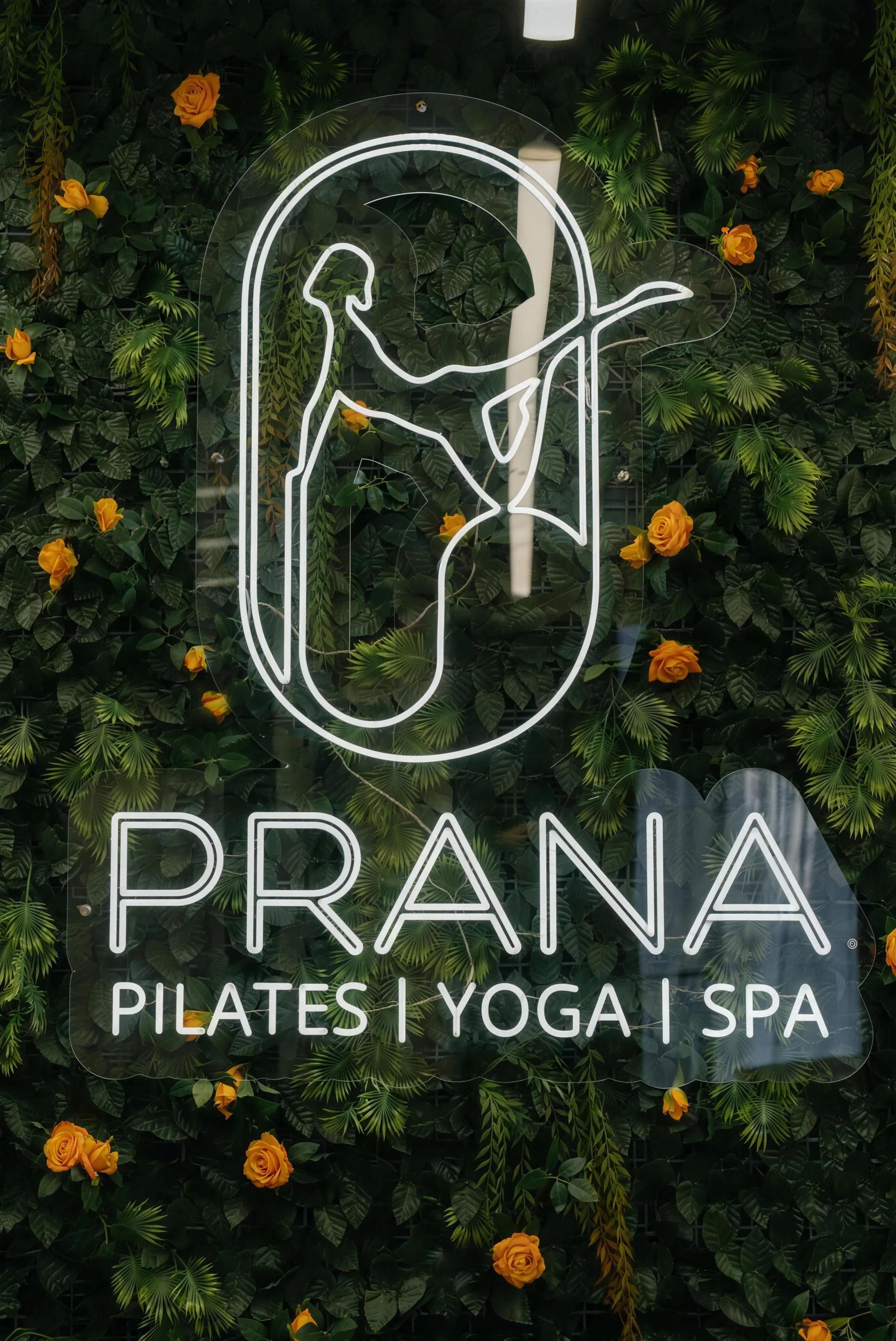 Логотип PRANA на стене из живого мха