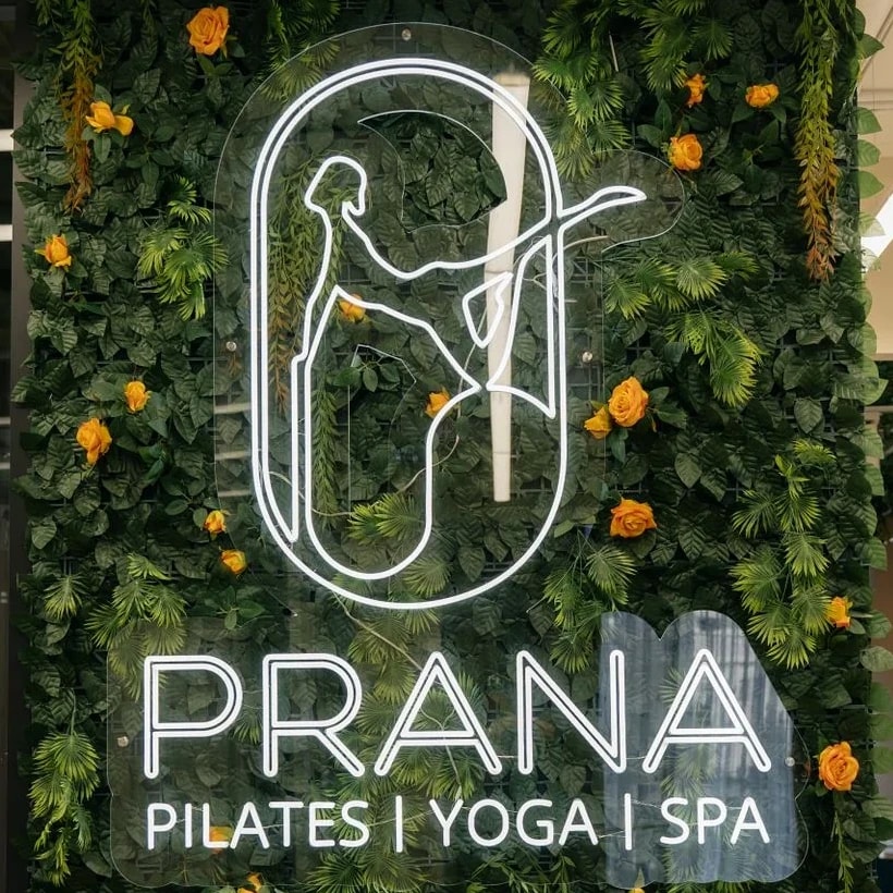 Тірі мүк қабырғасындағы PRANA логотипі